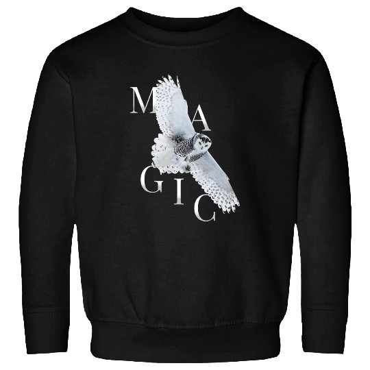 Cute Owl Magical Owl Birds Barn Owl Library 3 Sweatshirts
