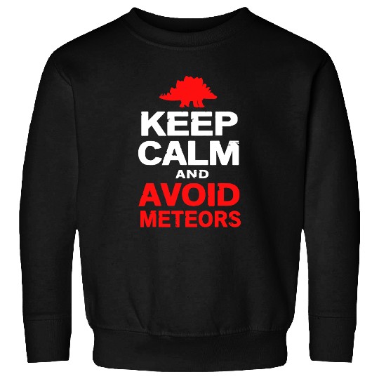 Dinosaur Dino Keep Calm And Avoid Meteors Funny Dinosaur Stegosaurus Sweatshirts