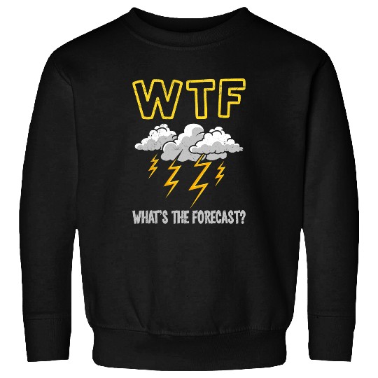 WTF Whats The Forecast Weatherman Meteorologist For Man 3 Sweatshirts