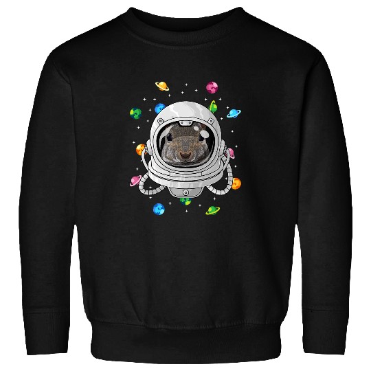 Astronauts Squirrel Astronaut Animal Deep In Space Cosmic Universe Sweatshirts