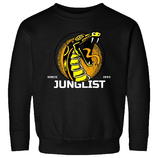 Drums Drummer DnB Snake Music Junglist EDM Drum And Bass Drums Sweatshirts