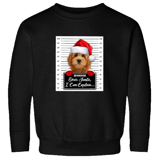 Dog Goldendoodle Dear Santa I Can Explain Funny Christmas Goldendoodle Xmas Sweatshirts