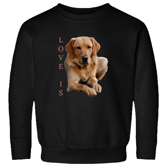 Goldie Mom Dad Love Puppy Pet Cute 444 Golden Retriever Dog Sweatshirts