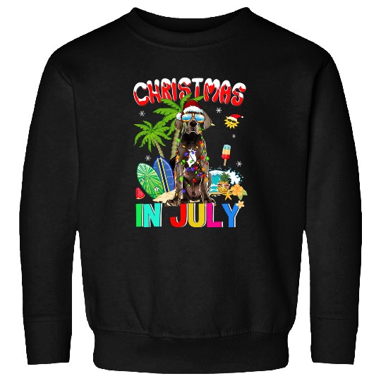 Dog Great Dane in Santa Hat Sunglasses Christmas In July Sweatshirts