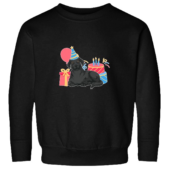 Labrador Lab Dog Black Labrador Lover Dog Owner Kids Birthday Party Black Lab Sweatshirts