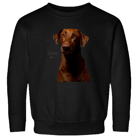 Labrador Lab Dog Chocolate Labrador Retriever Lab Tee Dog Mom Dad Puppy 3 Sweatshirts