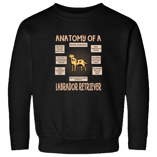 Labrador Lab Dog Anatomy Of A Labrador Retriever Funny Puppy Gift Sweatshirts