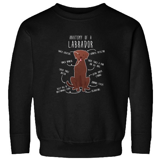 Labrador Lab Dog Chocolate Labrador Retriever Anatomy Funny Cute Dog Lab Mom 3 Sweatshirts