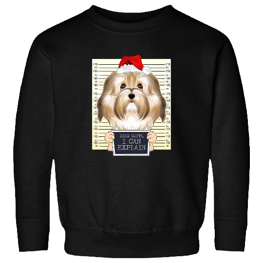 Dog Havanese Dear Santa I Can Explain Funny Christmas Havanese Sweatshirts
