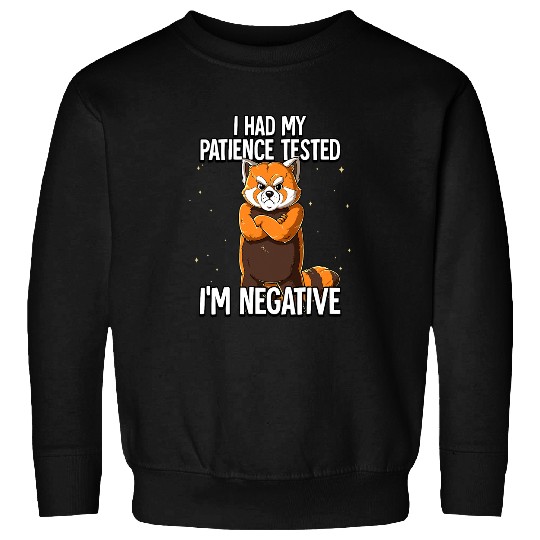 Funny Bear I Had My Patience Tested Im Negative Red Panda Cute Bears Sweatshirts