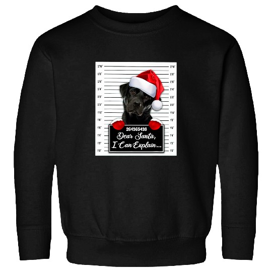 Labrador Lab Dog Dear Santa I Can Explain Funny Christmas Labrador Xmas Sweatshirts