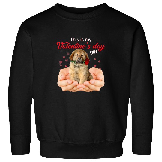 Cute Tibetan Mastiff This Is My Valentines Day Pajama Sweatshirts