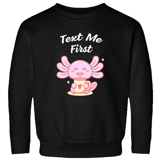 Text Me First Introvert Boss Antisocial Manager Funny Rules 5 Sweatshirts