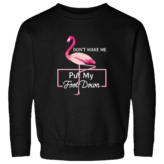 Pink Flamingo Do not Make Me Put My Foot Down Bird Nerd Flamingos Sweatshirts