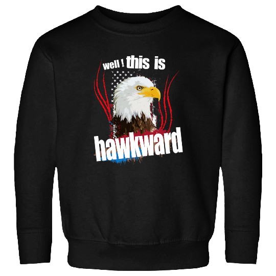 Eagle American Flag Bird Patriotic Design 23 Sweatshirts