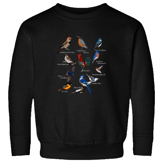 American Garden Birds Blue Jay Hummingbird Robin Nuthatch Sweatshirts