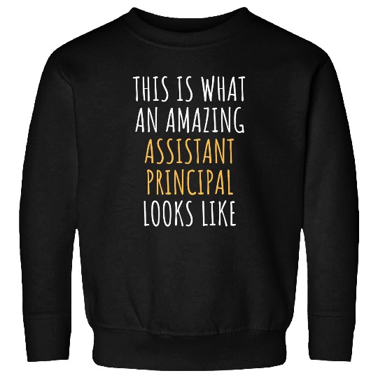 ASSISTANT PRINCIPAL Funny Job Title Profession Worker Idea Sweatshirts