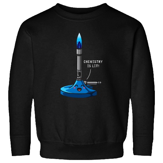 Bunsen Burner Chemistry Teacher Science Lover Science Day Sweatshirts