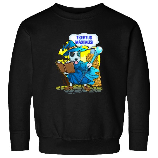 Heeler Pet Wizard Dog Blue Heeler Wand Magic Spell Casting Fantasy Mage Sweatshirts