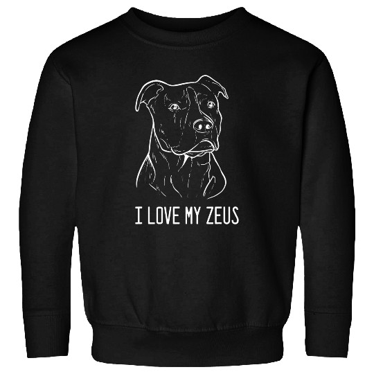 Pitbull Pet Terrier Zeus Dog Owner Sweatshirts