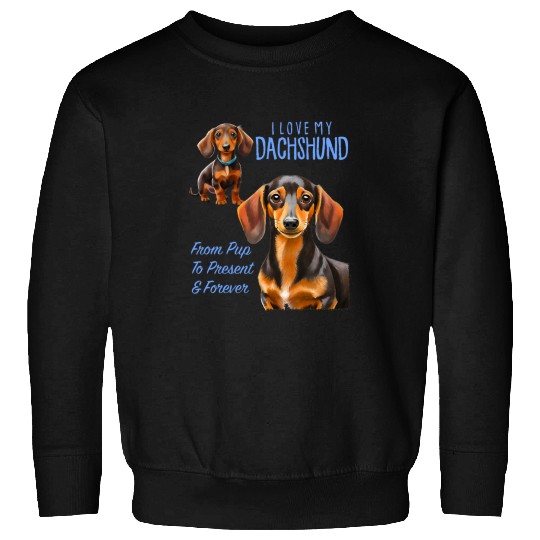 Dachshund Pet I Love My Dachshund Hot Dog From Pup To Present And Forever Sweatshirts