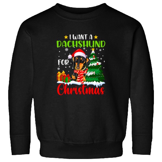 Dachshund Pet I Want Christmas Lights Dog Puppy Lover 64 Sweatshirts