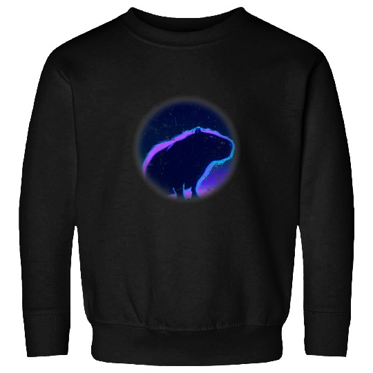 capybaras Mammal blue purple horizon night sky galaxy 18 Sweatshirts