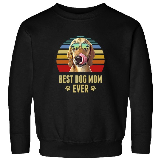 Coonhound Pet Redbone Coonhound bests Dog Mom Ever Retro Sunset Sweatshirts