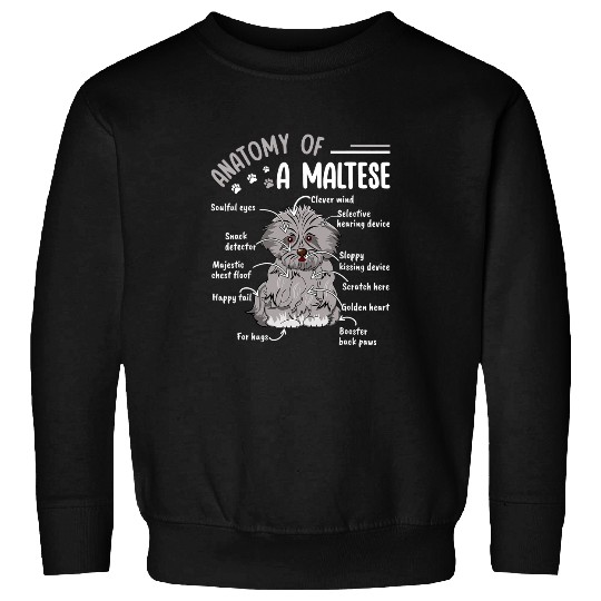 Maltese Pet Funny Cute Pet Dog Definition Animal Anatomy Of Sweatshirts
