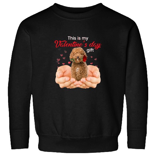 Labradoodle Pet This Is My Valentines Day Pajama Sweatshirts