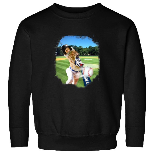 Sport Baseball Cat Baseball Lover Maine Coon Cat Playing Sweatshirts