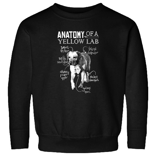 Labrador Pet Anatomy of a Yellow Lab Chalkboard Labrador Retriever Lover Sweatshirts