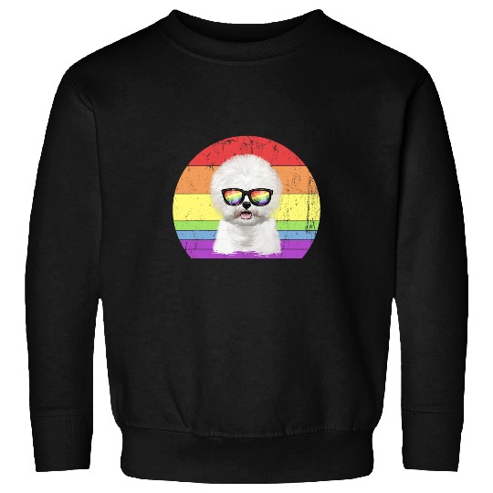 Bichon Pet LGBT Pride Rainbow Vintage Bichon Frise Dog LGBT Awareness Month Pride Sweatshirts