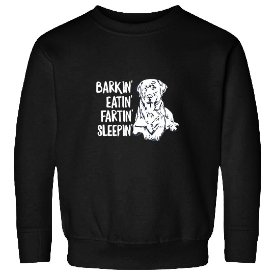 Labrador Pet Design for a Silver Lab Owner Sweatshirts