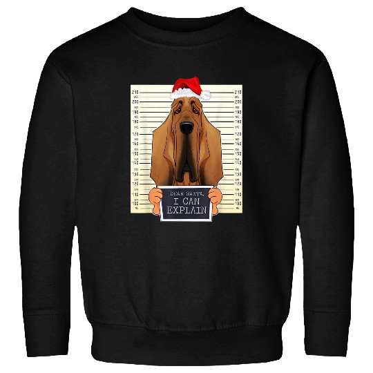 Bloodhound Pet Dear Santa I Can Explain Funny Christmas Sweatshirts