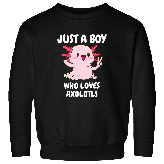 Axolotls Pet Just A Boy Who Loves Axolotlss Walking Fish Men Boys Sweatshirts