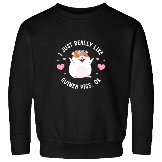 Guinea Pig Pet I Just Really Like Guinea Pigs Ok Guinea Pig Lover Kawaii Sweatshirts