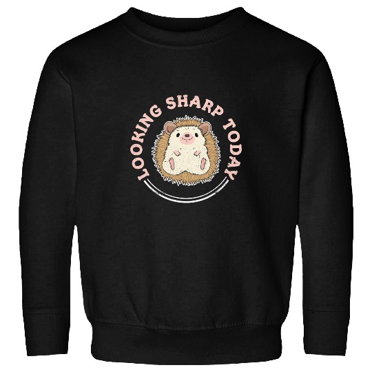 Hedgehog Pet Looking sharp today Design for a Hedgehogs Lover Sweatshirts
