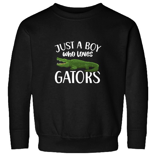 Alligator Pet Just A Boy Who Loves Gators Alligator Zookeeper Sweatshirts
