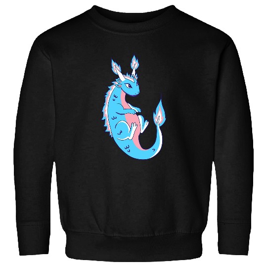 Dragon Pet Transgender LGBT Draco Dragon Transsexual Flag Trans Sweatshirts