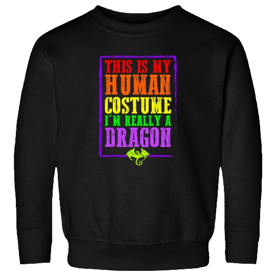 Dragon Pet This Is My Human Costume Im Really A Dragon Halloween 3 Sweatshirts
