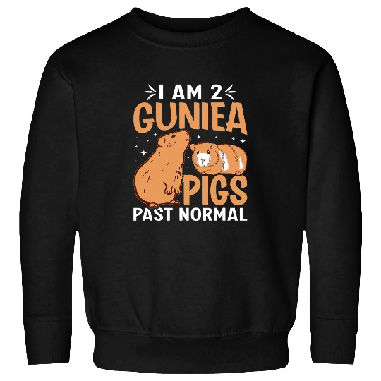 Guinea Pig Pet Im 2 Guinea Pigs Past Normal Cute Cavy Guinea Pigs Lover Sweatshirts