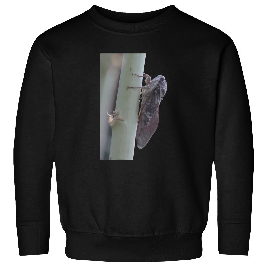Cicada Vector Cut Out Sweatshirts