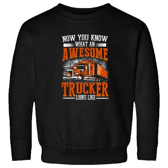 Truck Fun Trucker Awesome Trucker Big Rig SemiTrailer Truck Driver 312 Sweatshirts