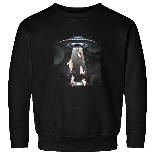 Aliens UFO Cat Galaxy Cat Cat UFO Sweatshirts