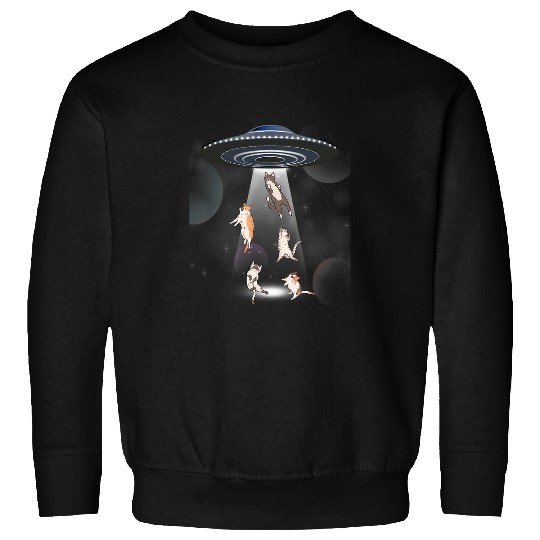 Aliens UFO Cat Galaxy Cat Cat UFO Sweatshirts