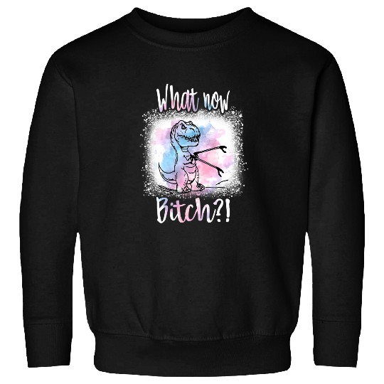 Dinosaur Pet TRex Dinosaur MamaSaurus PapaSaurus What Now Bitch Sweatshirts