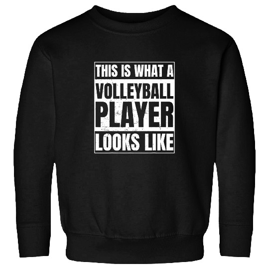 Volleyball Coachs Gift for a Volleyball Lovers 27 Sweatshirts