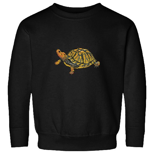 Turtle Pet Box Turtle Realistic Illustration Shell Animal Sweatshirts