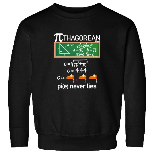 Python Pet Math Teacher Pi Symbol Day Funny Engineer Gift Python Pithon Sweatshirts
